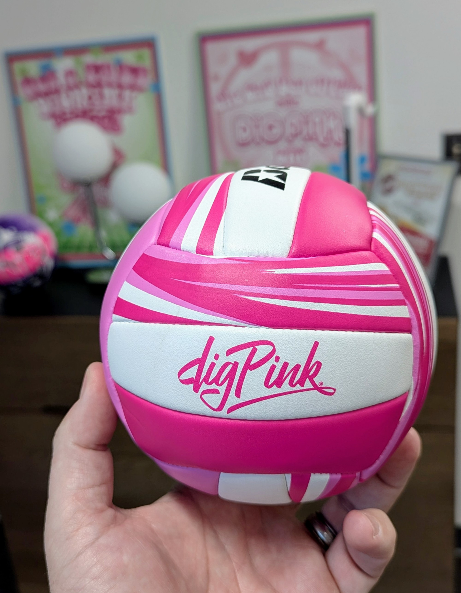 5 Inch Baden Mini Dig Pink® Volleyball with Dig Pink Logo