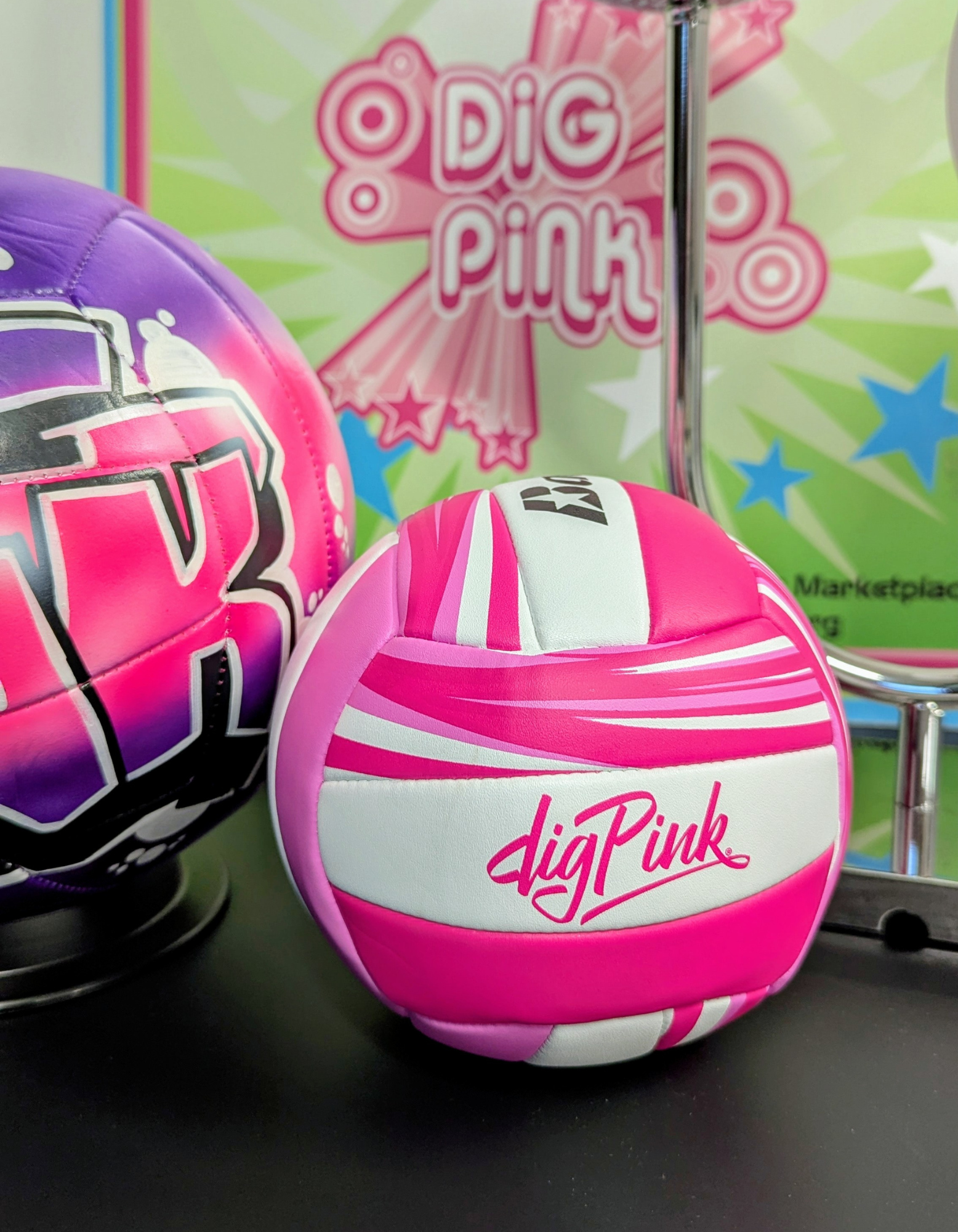 5 Inch Baden Mini Dig Pink® Volleyball with Dig Pink Logo