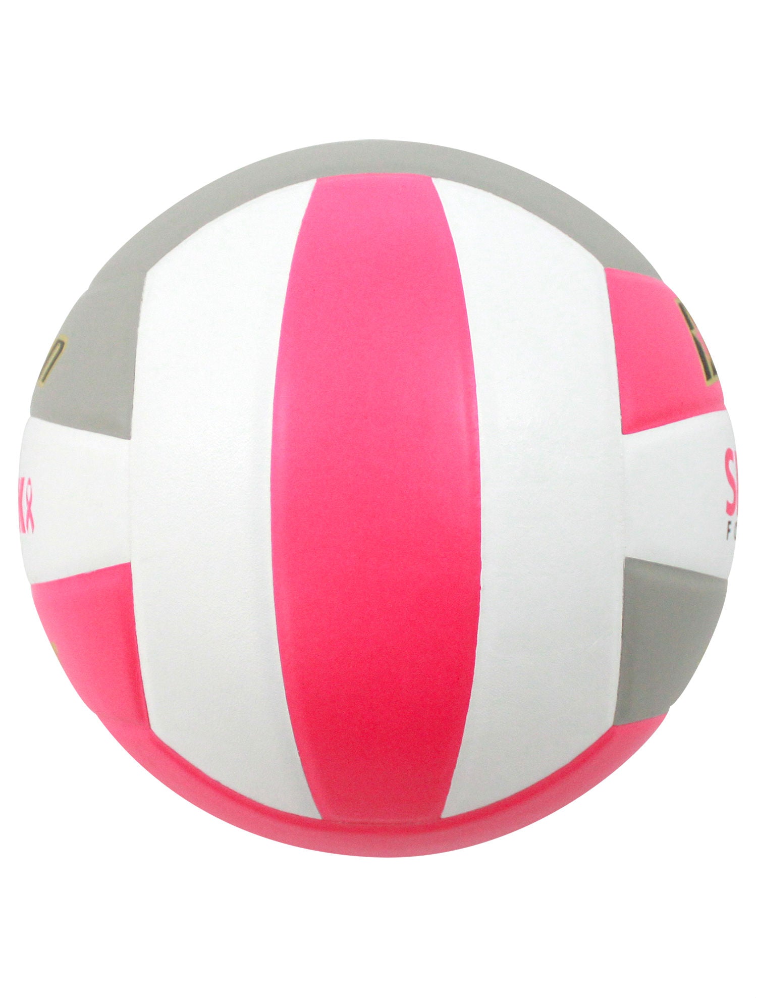Official Baden Perfection Dig Pink® Leather Volleyball with Logos