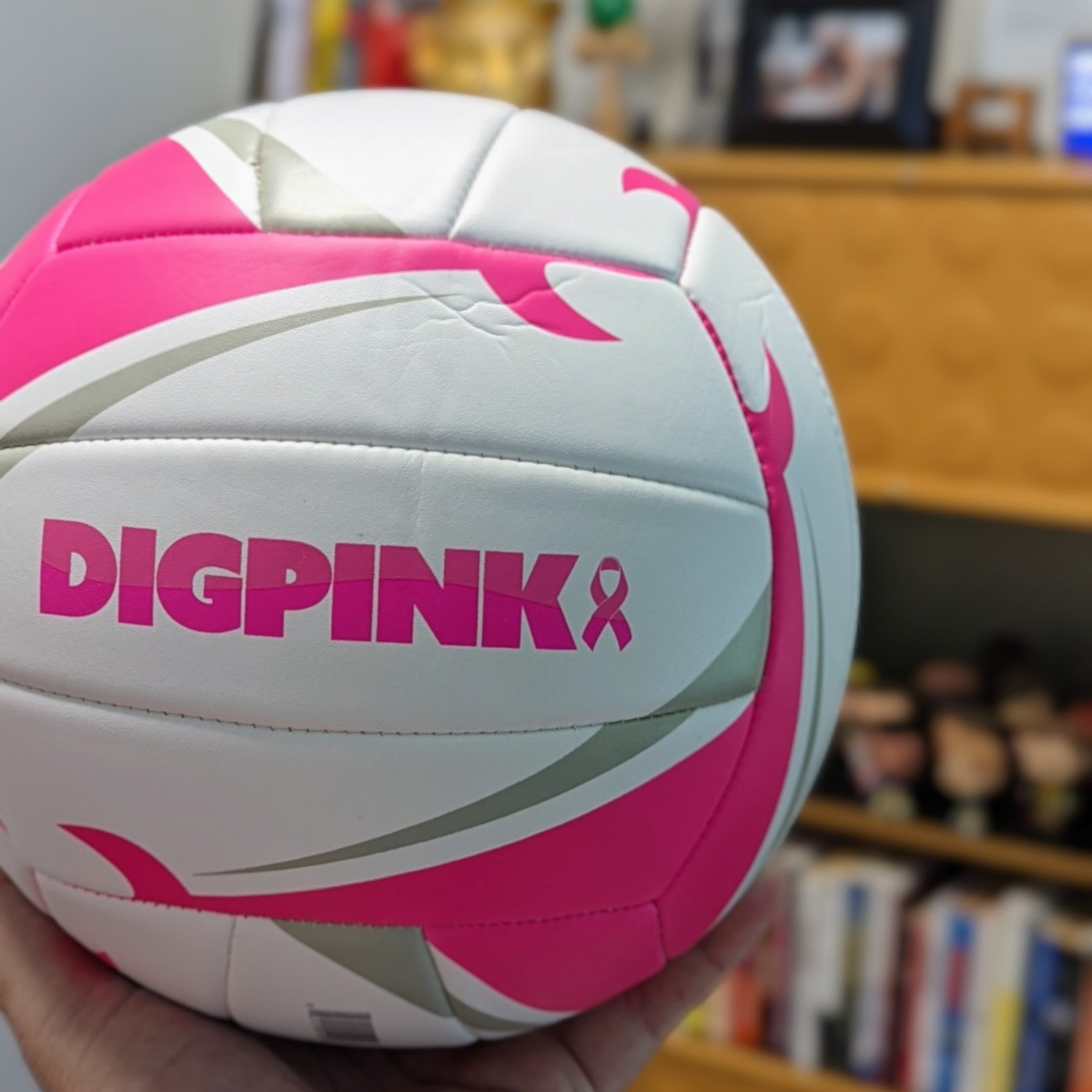 Official Baden Match Point Dig Pink® Outdoor Volleyball