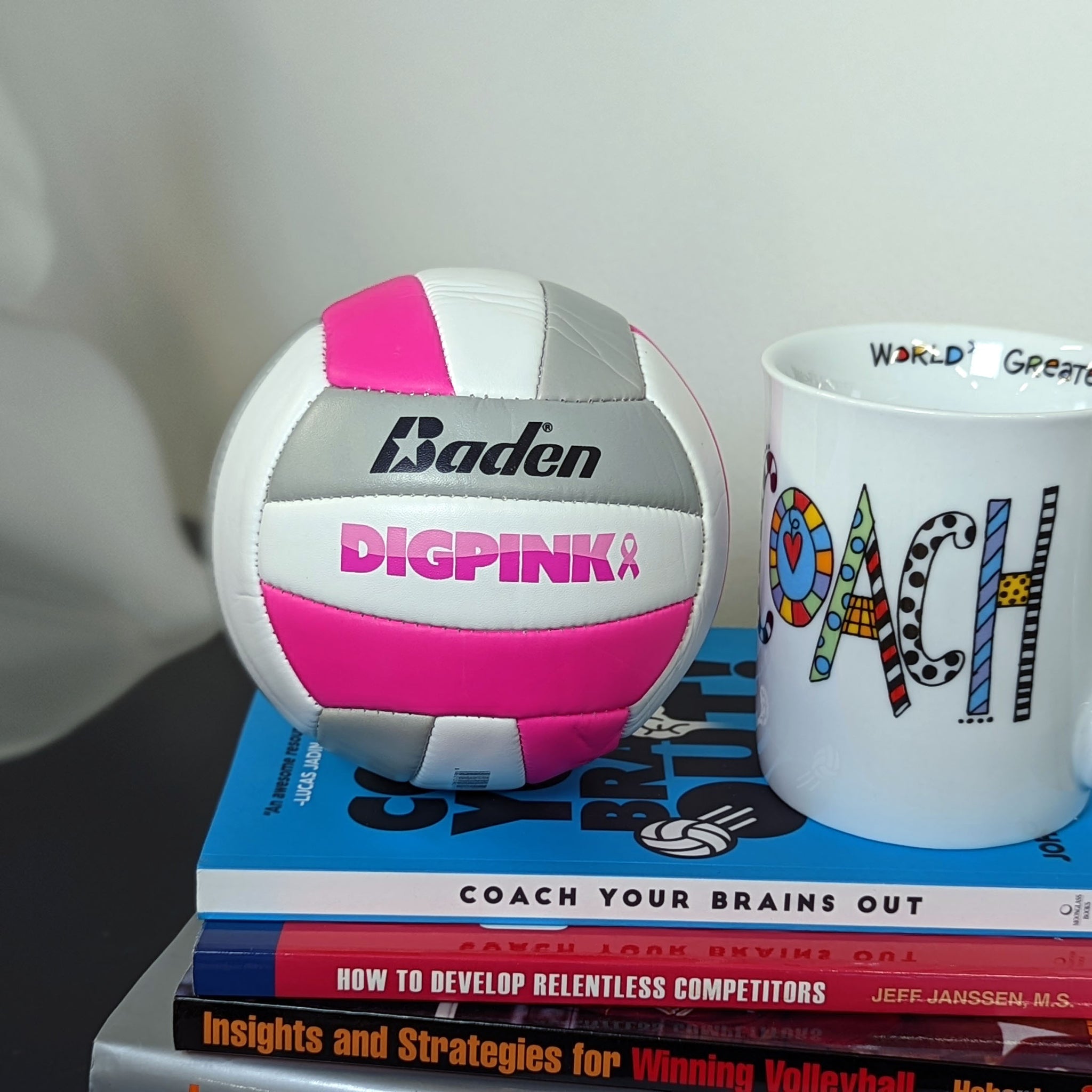 5 Inch Baden Mini Dig Pink® Volleyball with Dig Pink Logo